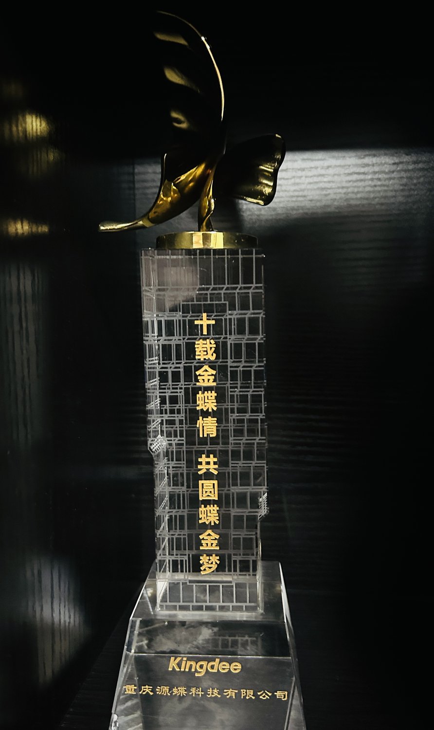 十载金蝶情·共圆蝶金梦
